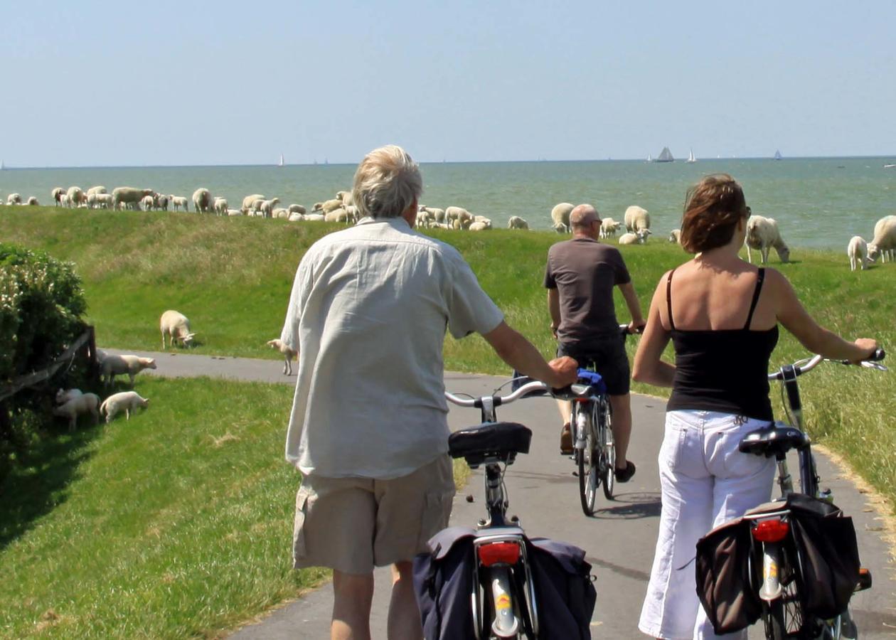 Friesland-Cottage Molkwerum Εξωτερικό φωτογραφία